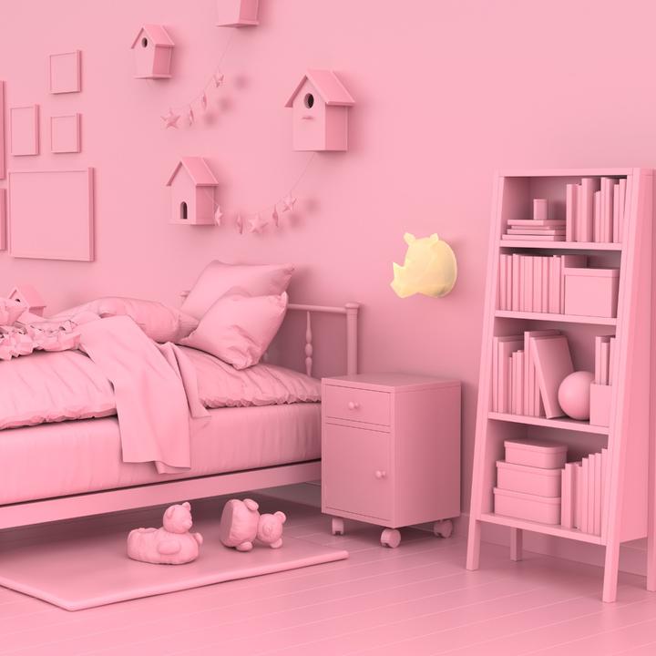 Actual product image Mobility on Board Rhino