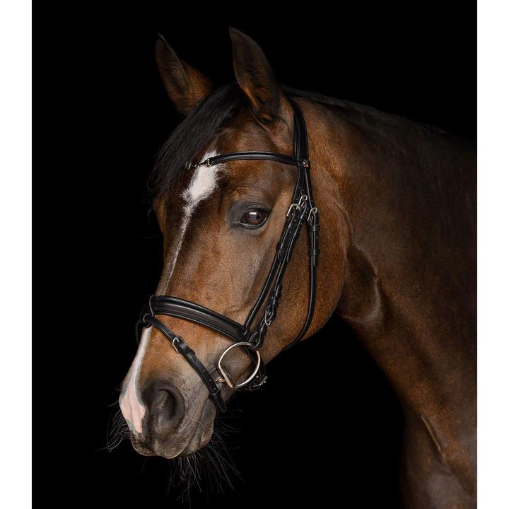 Immagine prodotto Waldhausen X-Line Charmbit