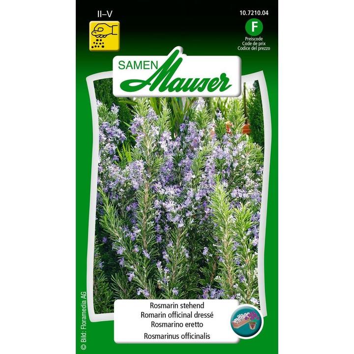 Produktbild Samen Mauser Rosmarin stehend (Kräutersamen)