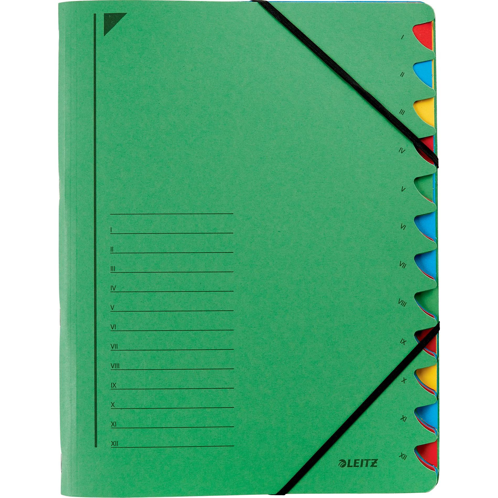 Leitz, Mappe, Ordnungsmappe (A4, 1 x)