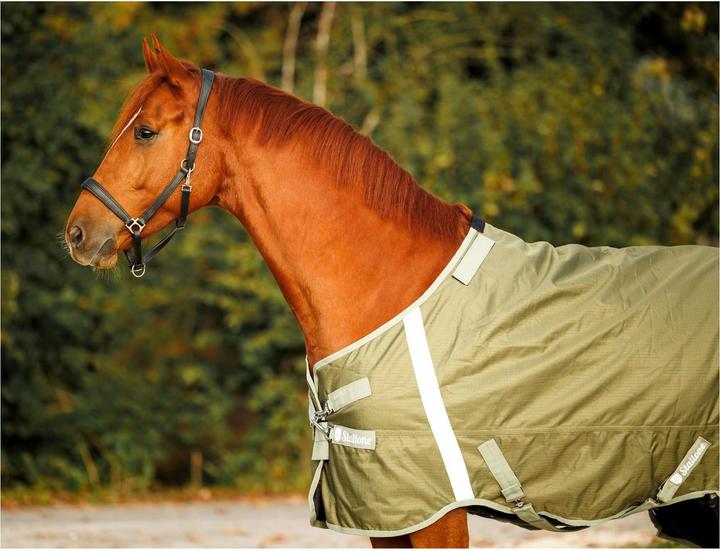 Actual product image Stallone Pasture rug 50 g Outdoor Guard (165 cm)