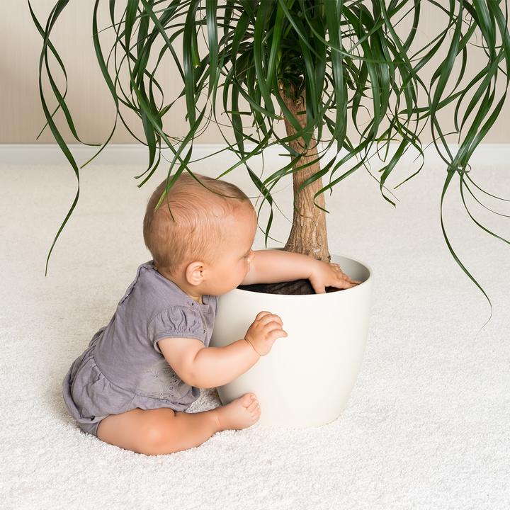 Produktbild Reer Pflanzenschutznetz (Ø 30 cm)
