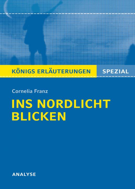 Actual product image Cornelia Franz: Ins Nordlicht blicken (German, Cornelia Franz, 2017)