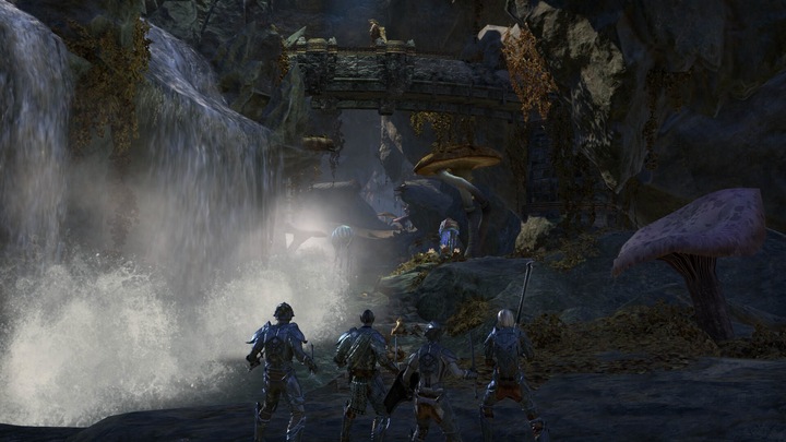 Actual product image Bethesda The Elder Scrolls Online: Morrowind, PS4 Standard English, Italian PlayStation 4 (PS4, DE)