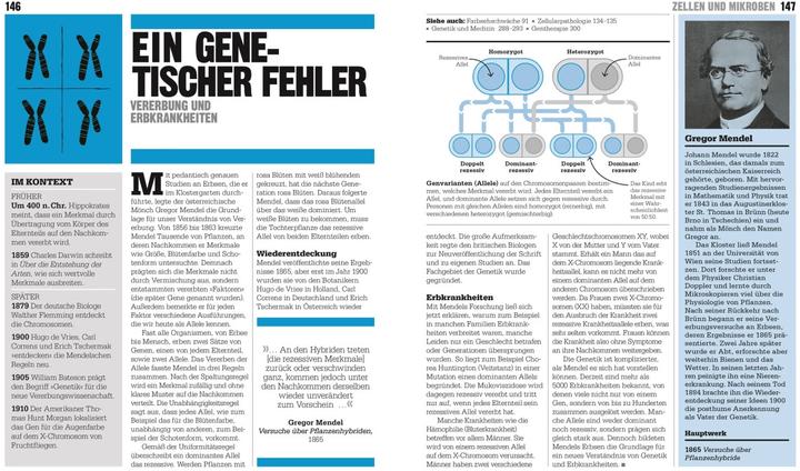 Produktbild Big Ideas. Das Medizin-Buch (Deutsch, John Farndon, Philip Parker, Robert Snedden, Steve Parker, Tim Harris, 2022)