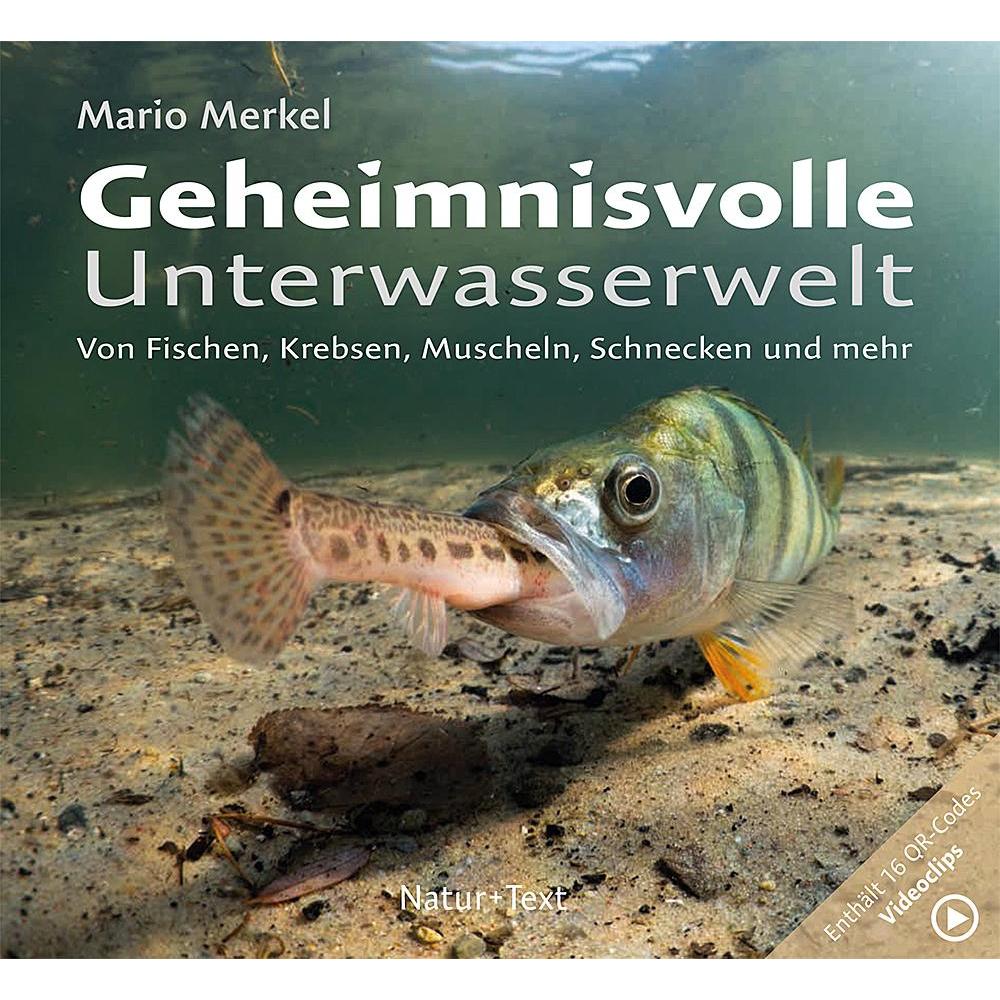 Thumbnail - Geheimnisvolle Unterwasserwelt, Ratgeber von Mario Merkel