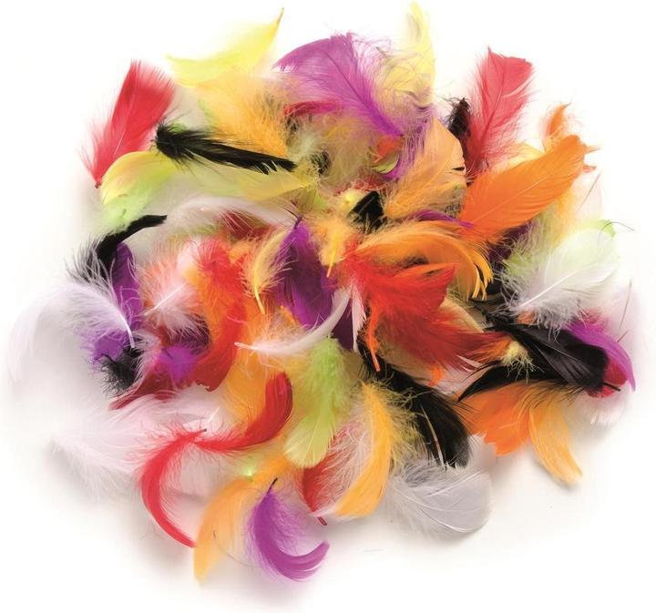 Produktbild Glorex Deco-Federn 10g