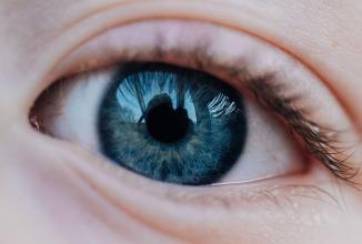 Produktbild Venus Optic Festbrennweite 65mm F/2.8 2x Ultra Macro APO – Canon RF (Canon RF, APS-C / DX)