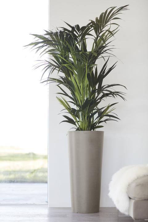Produktbild Ecopots Amsterdam hoch (70 cm)