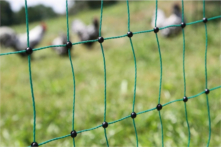 Actual product image AKO Poultry net