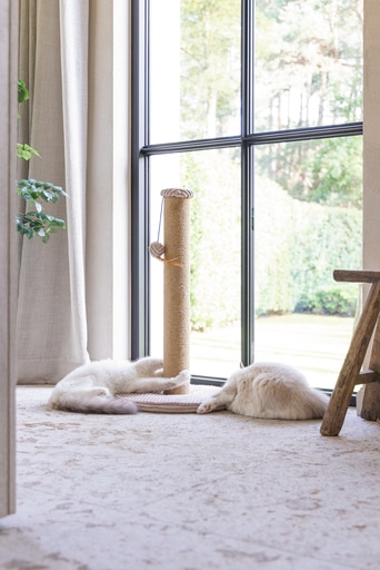 Actual product image Designed by Lotte Scratching post (70 cm, Rose)