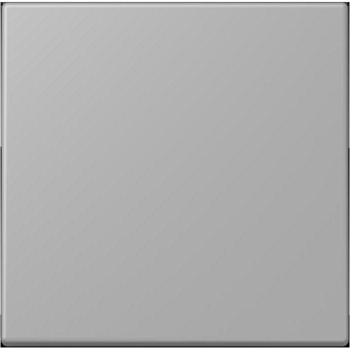 JUNG Steuertaste (LC1700204)