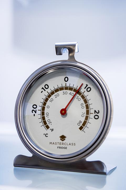 Actual product image Master Class Fridge thermometer