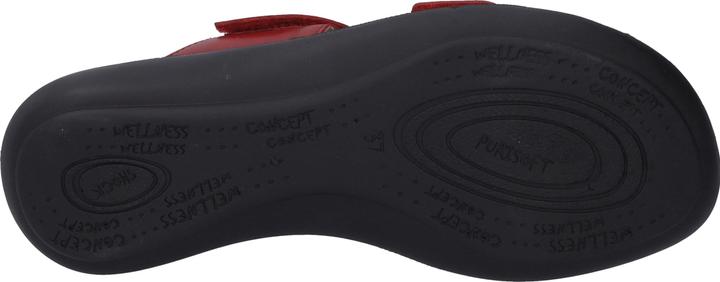 Actual product image Westland 16775-84 (43)