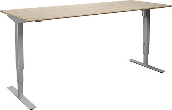 kaiserkraft Atlanta Trend