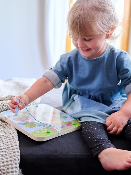 Image du produit Haba Jeu Jeux magnétiques