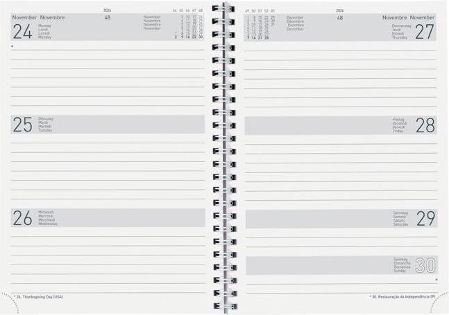 Produktbild Biella Geschäftsagenda Dispo Term Wire-O (14.5 x 20.5 cm, Deutsch)