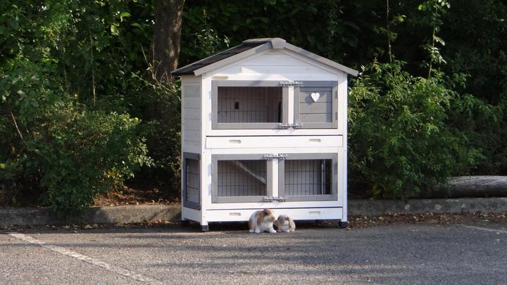 Produktbild Jamb Excellent