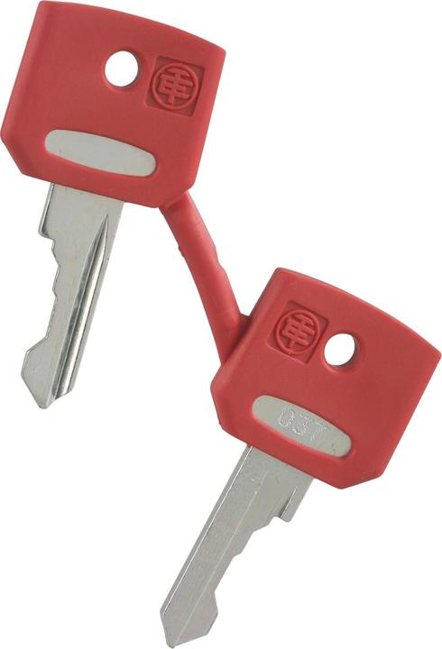 Actual product image Schneider Electric red key fiat