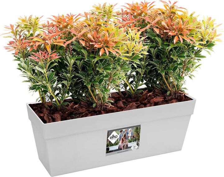 Image du produit Elho Loft Urbain (17 cm)
