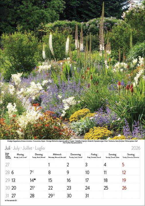 Produktbild Bltenzauber 2026