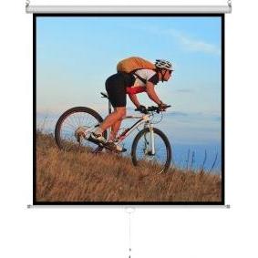 Art ER M84 1:1 manual display semi-a (1:1), Leinwand