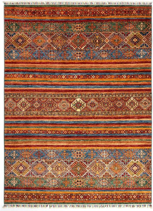 Image du produit Vidal Torkman (170 x 251 cm)