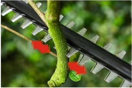 Produktbild Bosch Home & Garden UniversalHedgePole 18 (Akkuheckenschere)