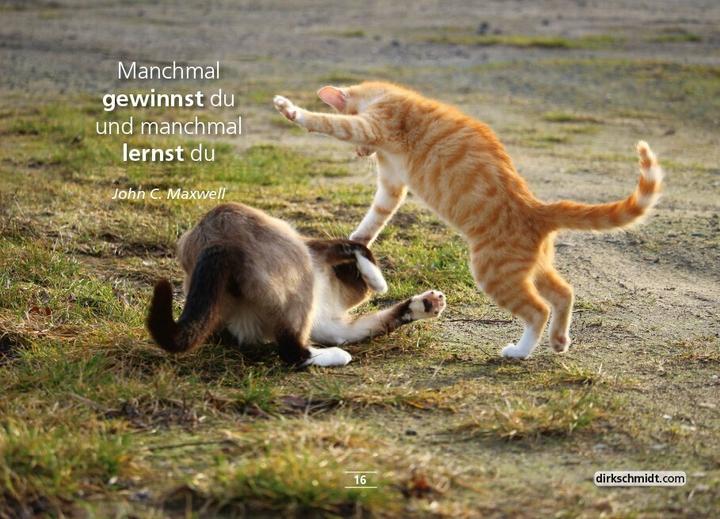 Produktbild MUTivationsbox 2 - 101 Zitate im Postkartenformat (Deutsch, Dirk Schmidt, 2020)