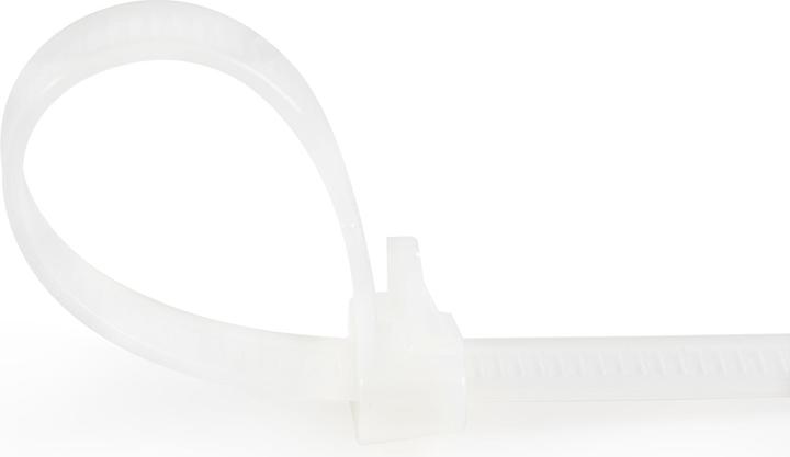 Actual product image StarTech 15cm(6") Reusable Cable Ties, 7mm(1/4") wide, 35mm(1-3/8") Bundle Dia. 22kg(50lb (Plastic cable ties, 150 mm, 100 pcs.)