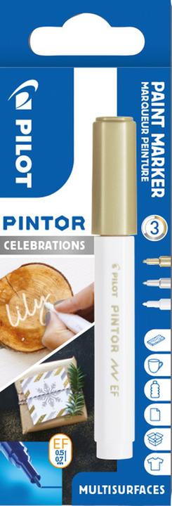 Actual product image Pilot Pintor Extra Fine XMas Set à 3 (3x)