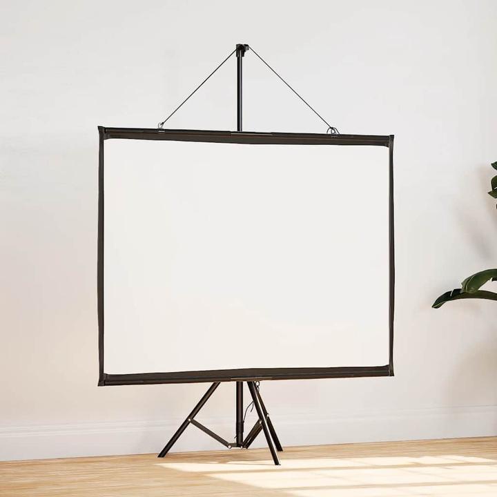 Actual product image vidaXL Projektionsleinwand (50", 4:3)