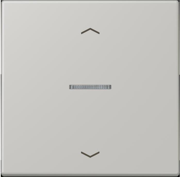 Actual product image JUNG BTLC17101P205 HOME push button