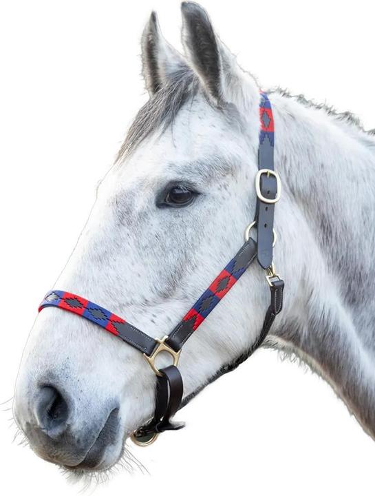 Immagine prodotto Hy Pelle Cavezza per Cavallo