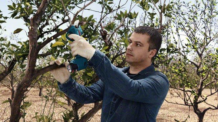 Produktbild Bosch Professional Pro Pruner (Akkuheckenschere)