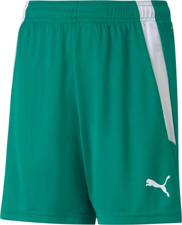 Produktbild Puma teamLIGA Shorts Jr-704931 (152)