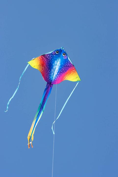 Immagine prodotto Invento Cerf-volant Simple Flyer MantaII