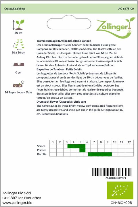 Image du produit Zollinger Bio Mailloches de tambour (Craspedia), Petits soleils