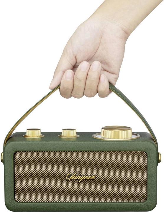 Image du produit Sangean RA-101 Radio à piles FM Bluetooth®, AUX rechargeable Vert, Or (FM, Bluetooth)
