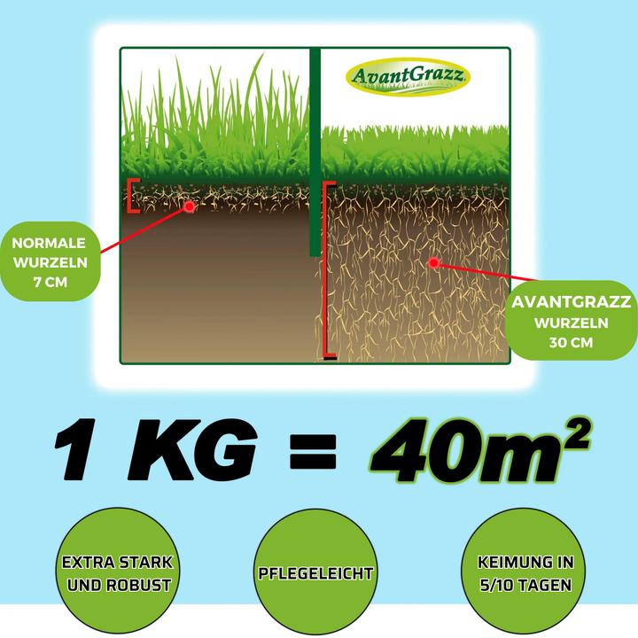 Actual product image Best direct Avant Grazz (Lawn reseed)