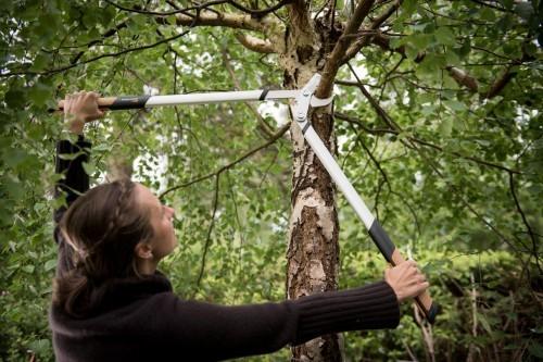Image du produit Fiskars Élagueur bypass Quantum 80 cm
