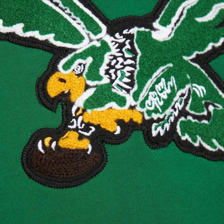 Actual product image Mitchell & Ness Fleece Hoody STITCH Philadelphia Eagles - L (L)