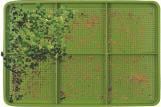 Produktbild Cook Concept Keimschale