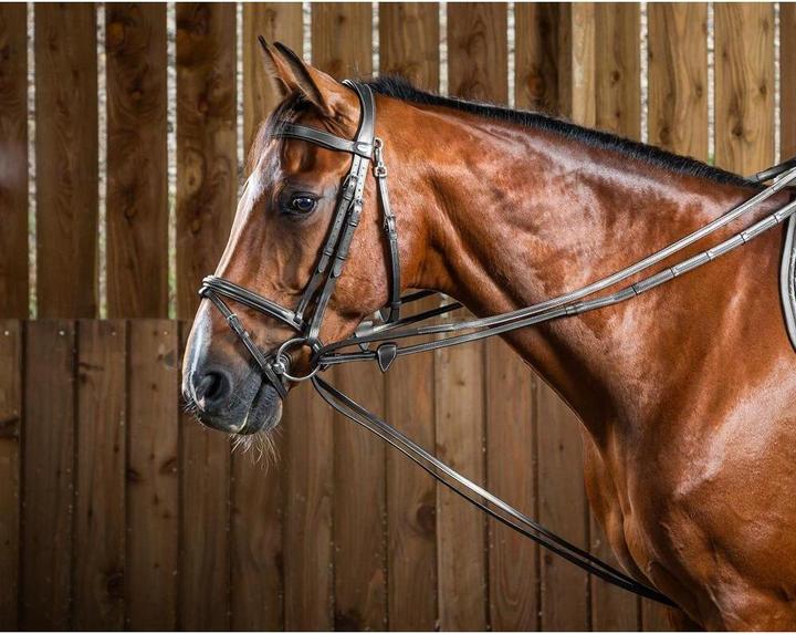 Immagine prodotto Dy'on Hunter 1/2