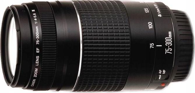 Productafbeelding Canon EF 75-300mm f/4.0-5.6 III (Canon EF, APS-C / DX)