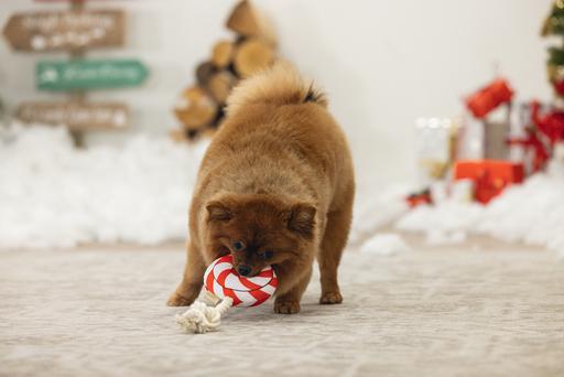 Immagine prodotto Beeztees Lecca-lecca di Natale