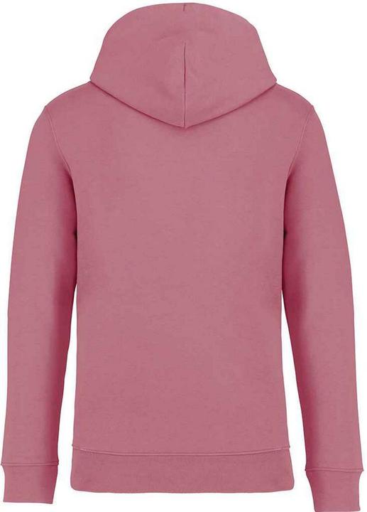 Produktbild Native Spirit Kapuzenpullover Schwer (M)