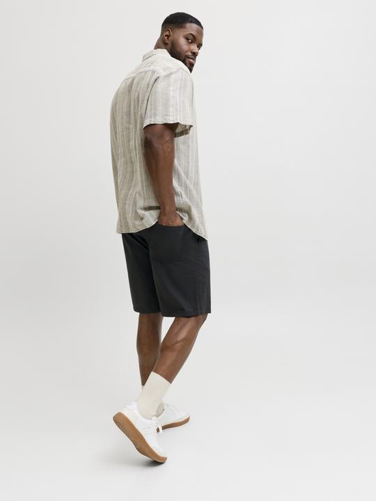 Image du produit Jack & Jones Plus Size Regular Fit Shorts Shorts (46)
