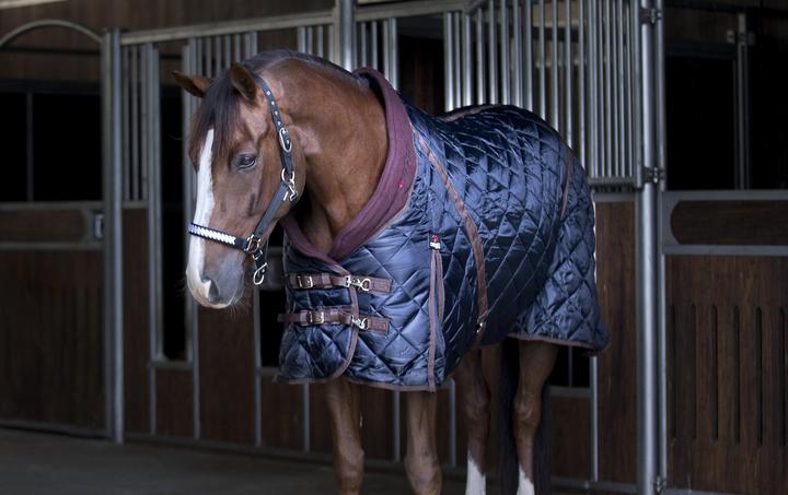 Produktbild Catago 500 g (135 cm)