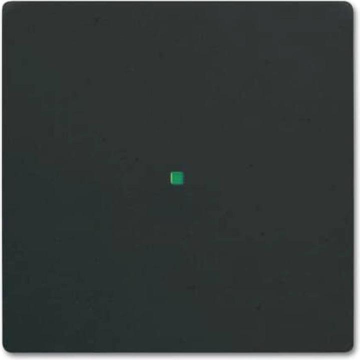 Actual product image Busch-Jaeger Rocker